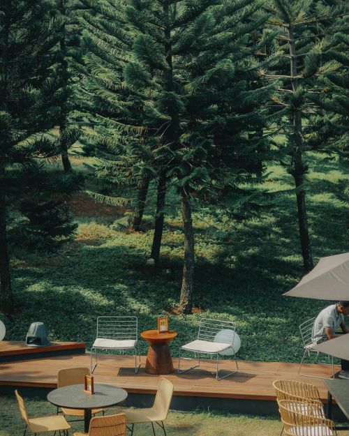 suasana antara kata bsb city